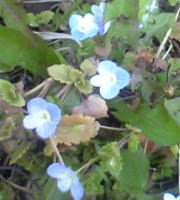 060328_01.jpg
