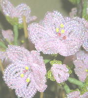 060328_04.jpg
